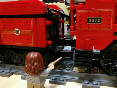 7595508.jpg