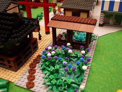 P1080359.jpg